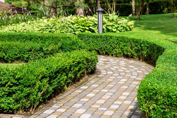 Paved Landscaping in Castle Rock