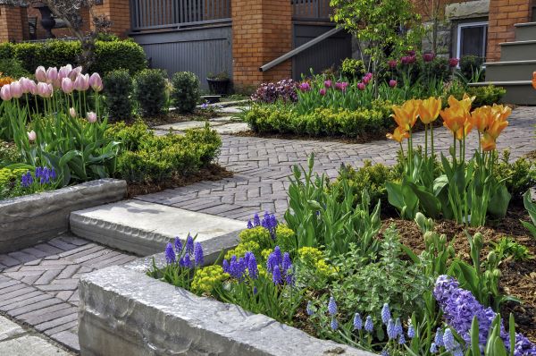 Hardscape Construction in Castle Rock