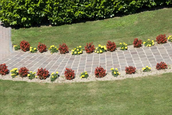 Garden Paving in Castle Rock