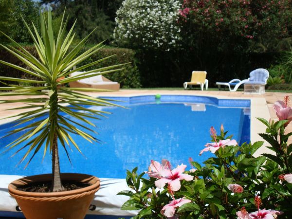 Pool Terrace Renovation in Castle Rock