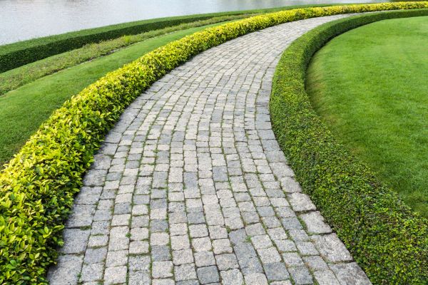 Sidewalk Pavers Installation in Castle Rock