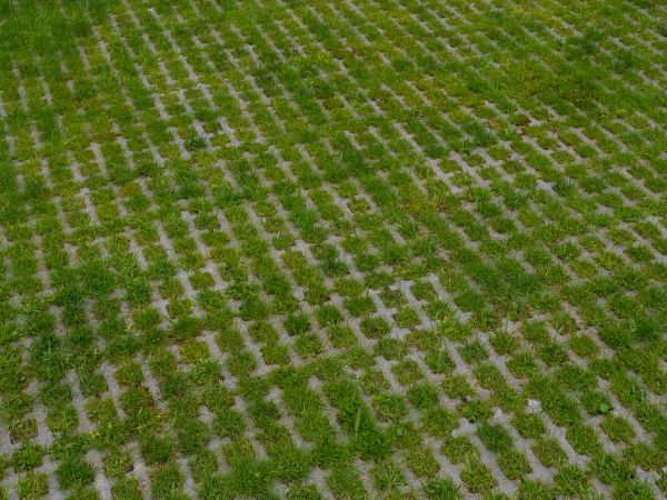 Permeable Pavement Service in Castle Rock